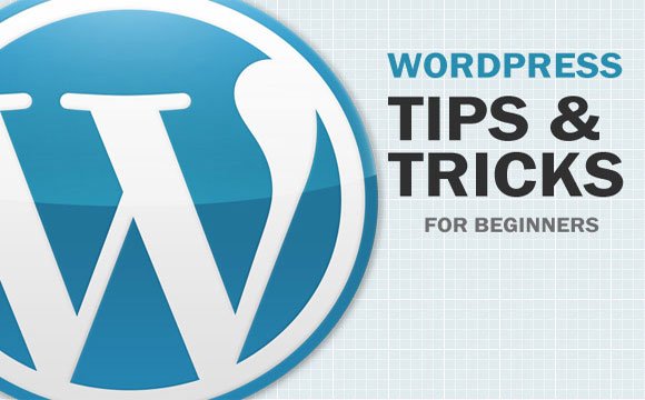صورة لـ كورسات تعليمية مجانية من أجل تعلم الـ WordPress لجميع المستويات | fimg1-DzTechs