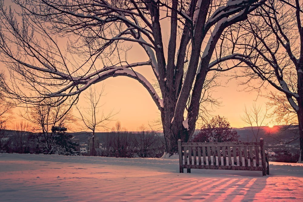 صورة لـ أفضل مواقع الانترنت المجانية للحصول على صور بدقة عالية | 3.-Gratisography-DzTechs