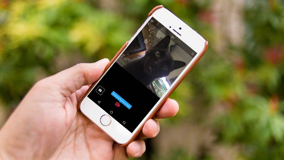 صورة لـ شرح كيفية الحصول على ميزات Vine في تويتر | SdPEN5kaoBKRsp8tQvCP37-970-80-min-DzTechs