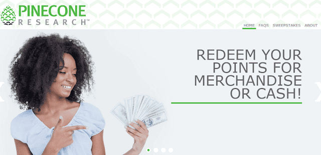 صورة لـ كيفية كسب المال من الاستطلاعات المدفوعة على الإنترنت: أفضل مواقع الويب الموثوقة في 2024 | Pinecone-research-members-panel-min-DzTechs