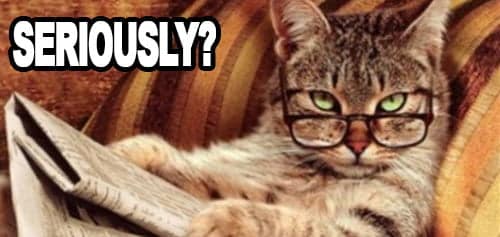 صورة لـ 20 طريقة لكسب المال من موقعك على الويب | cat-reading-IF-DzTechs