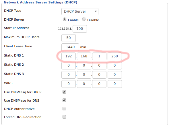 صورة لـ منع وإرسال جميع أنواع الإعلانات إلى ثقب أسود مع Pi-Hole | pi-hole-dns-server-settings-DzTechs