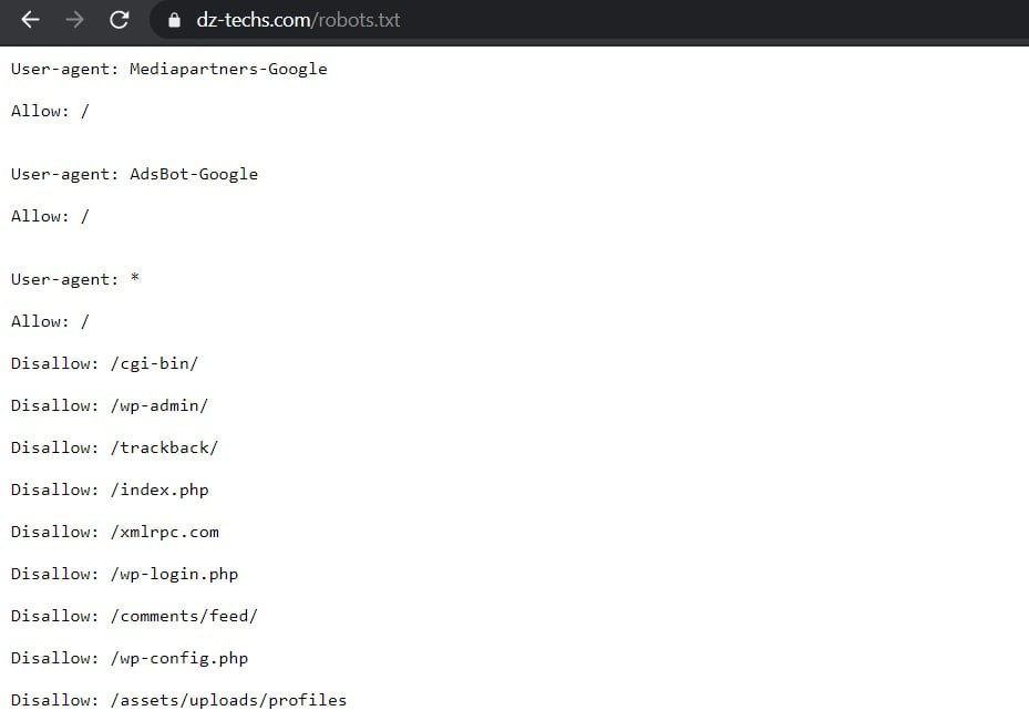 صورة لـ كيفية إنشاء ملف Robots.txt المثالي لـ SEO: ما هو وكيفية استخدامه بالتفصيل | robot.xml_
