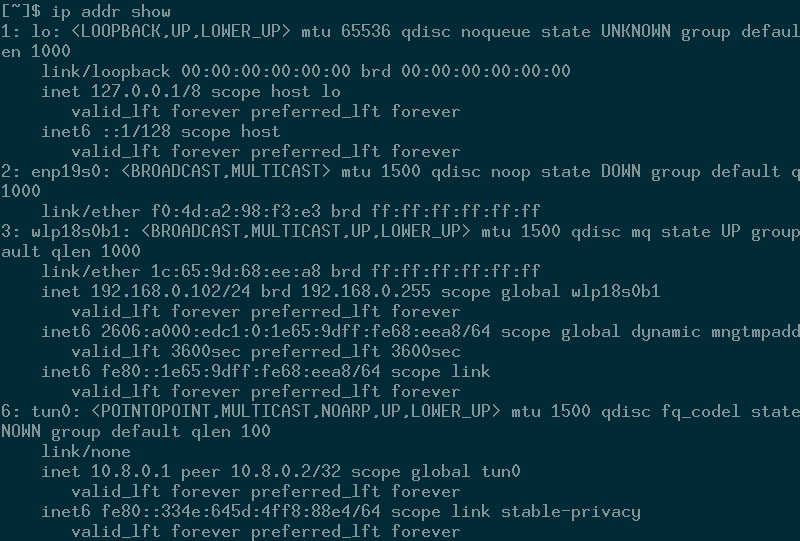صورة لـ إنشاء شبكة افتراضية خاصة (VPN) على Linux باستخدام OpenVPN | openvpn-ipaddrshow-c-DzTechs