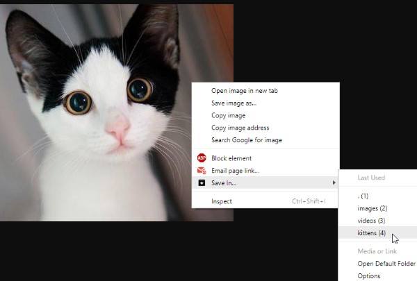 صورة لـ استخدم “حفظ في” لتنزيل الملفات إلى مجلدات متعددة في متصفحك | Save-In-Kitten-DzTechs