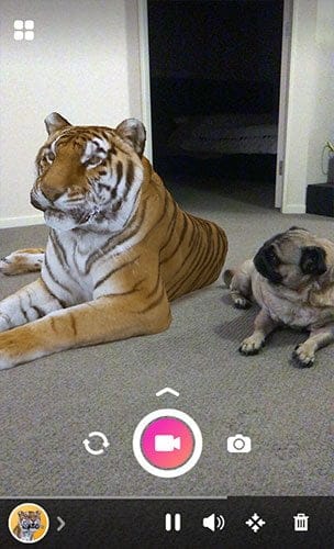 صورة لـ 13 من أفضل تطبيقات الواقع المعزز لـ Android و iOS | holo-augmented-reality-apps-DzTechs