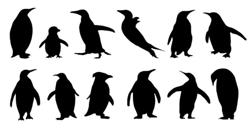 صورة لـ ماضي وتاريخ مختلف توزيعات لينكس | linux-distro-history-featured