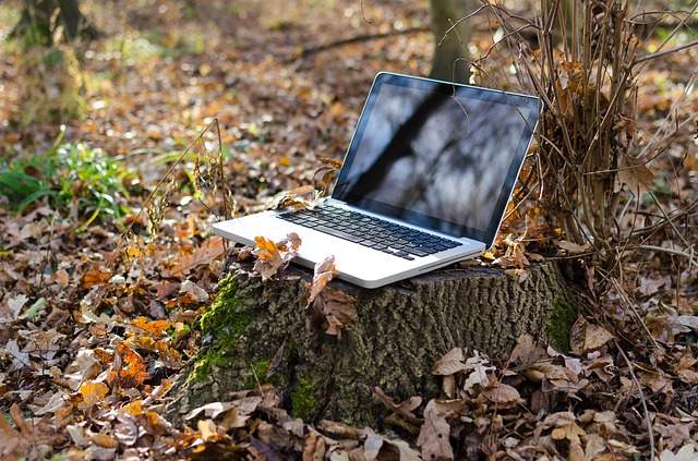 صورة لـ كيفية تثبيت تطبيقات الويب التقدمية (PWAs) في Google Chrome | PWA-chrome-no-network-DzTechs