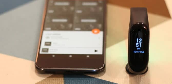 صورة لـ استخدام Mi Band 3/2 الخاص بك للتحكم بالموسيقى على جهاز Android | IMG_9378-DzTechs