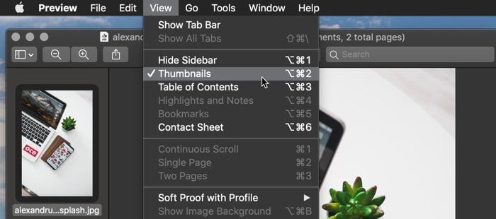 صورة لـ كيفية الجمع بين اثنين من المُستندات الممسوحة ضوئيًا في macOS | combine-two-scanned-documents-macos-thumbnail-view-DzTechs