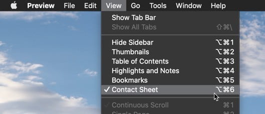 صورة لـ كيفية الجمع بين اثنين من المُستندات الممسوحة ضوئيًا في macOS | combine-two-scanned-documents-macos-view-contact-sheet-DzTechs