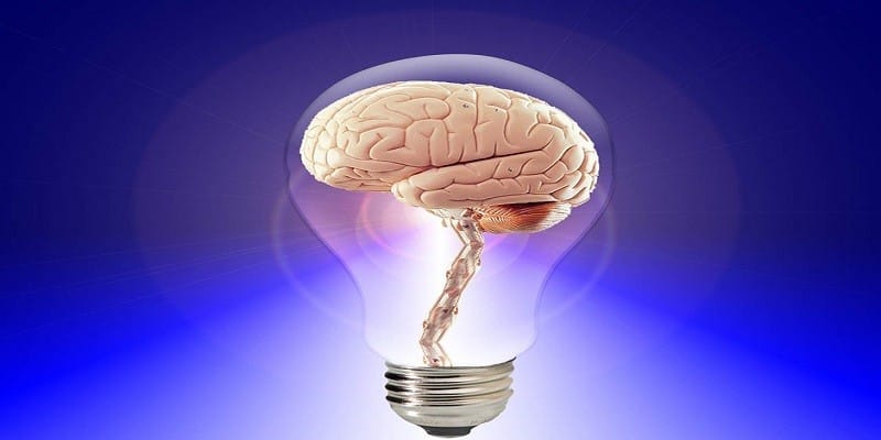 صورة لـ أفضل ألعاب الذاكرة المجانية لتحسين قدرات ذاكرتك | memory-boosting-games