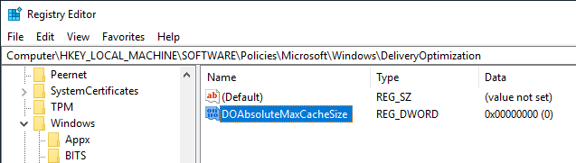 صورة لـ كيفية تحسين ذاكرة التخزين المؤقت لـ Delivery Optimization في نظام التشغيل Windows 10 | win10-delivery-optimization-create-max-size-value-DzTechs