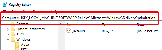صورة لـ كيفية تحسين ذاكرة التخزين المؤقت لـ Delivery Optimization في نظام التشغيل Windows 10 | win10-delivery-optimization-go-to-delivery-optimization-key-DzTechs