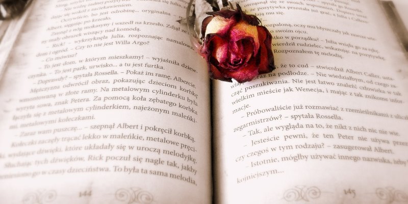 صورة لـ ما هي “القصص” على وسائل التواصل الاجتماعية؟ | Social-Stories-Featured