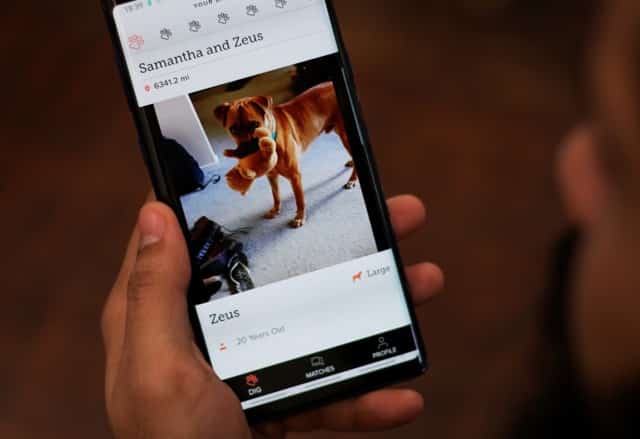 صورة لـ أفضل تطبيقات الحيوانات الأليفة للملاك الجُدد لنظامي Android | iOS | feature-1
