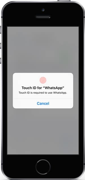 صورة لـ كيفية تمكين معرف اللمس ومعرف الوجه على تطبيق الـ WhatsApp | iphone-lock-screen-SE-DzTechs