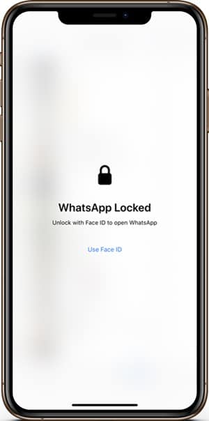 صورة لـ كيفية تمكين معرف اللمس ومعرف الوجه على تطبيق الـ WhatsApp | whatsapp-face-id-DzTechs