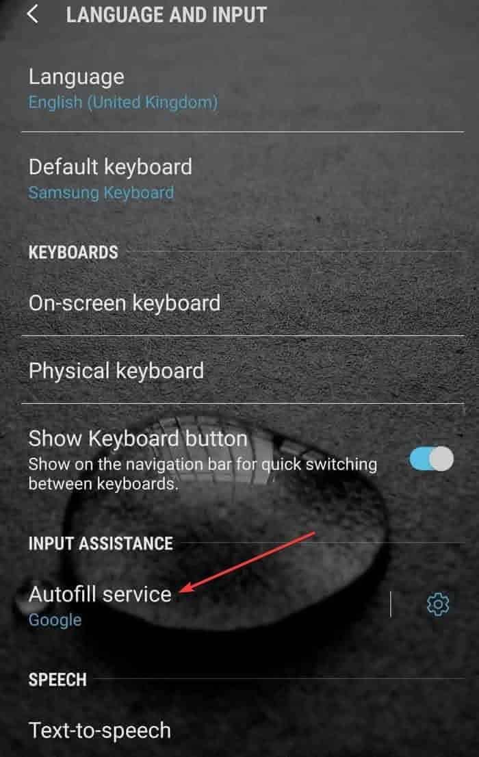 صورة لـ كيفية تفعيل ميزة الملء التلقائي لكلمات السر في Android | autofill-password-android-autofill-service-DzTechs