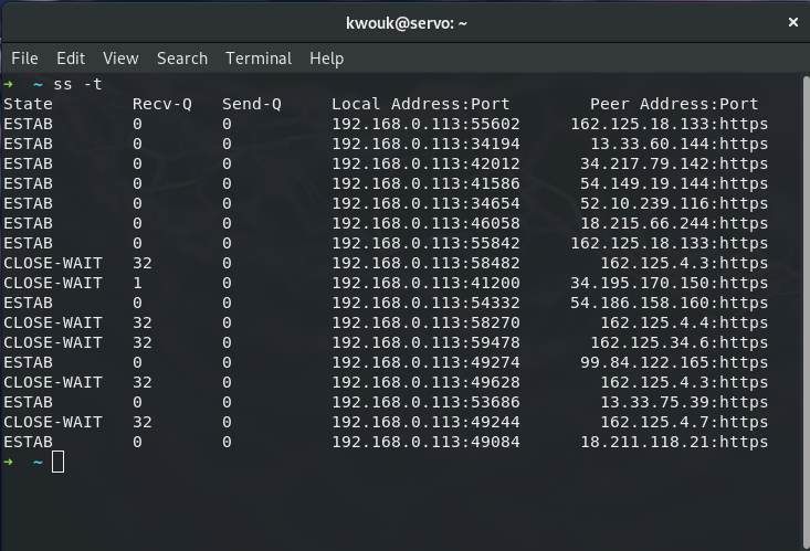 صورة لـ كيفية استخدام الأمر ss لمراقبة اتصالات الشبكة في نظام Linux | how-to-use-ss-command-tcp-filter-DzTechs