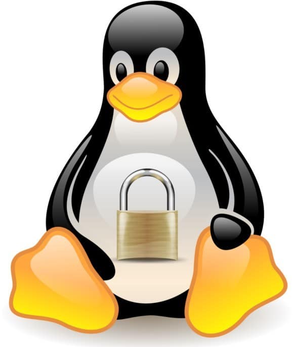 صورة لـ 8 أسباب تجعلك تقوم بالتبديل من Windows 10 إلى Linux | linux-privacy-DzTechs