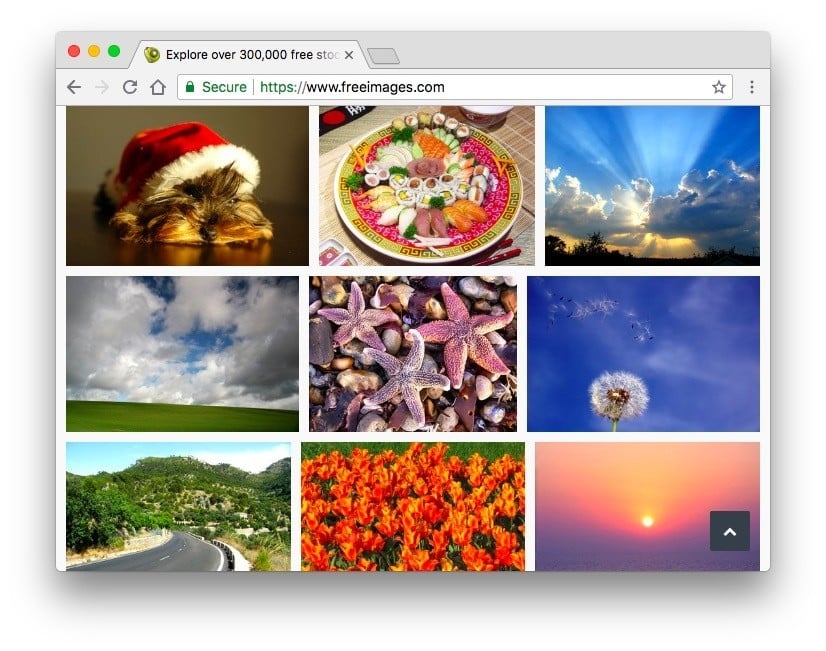 صورة لـ أفضل بدائل Pixabay لمشروعك المقبل وللحصول على صور مجانية | Screen-Shot-2018-08-09-at-11.13.52-PM-DzTechs
