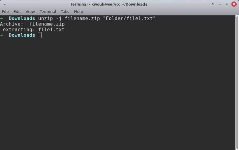 صورة لـ كيفية استخراج الملفات المضغوطة في نظام Linux | unzip-files-linux-single-file-DzTechs