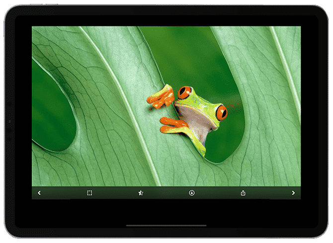صورة لـ 10 أماكن للحصول على خلفيات مذهلة لجهاز iPad Pro | ipad-pro-hor10-1-min-DzTechs