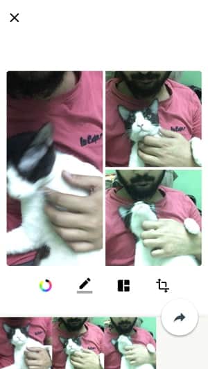 صورة لـ كيفية نشر الصور المباشرة كقصة على Instagram من iPhone | motion-stills-collage-min-DzTechs