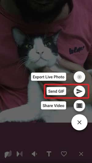 صورة لـ كيفية نشر الصور المباشرة كقصة على Instagram من iPhone | motion-stills-send-gif-min-DzTechs