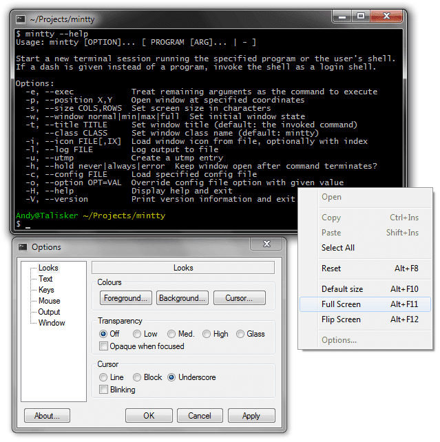 صورة لـ أفضل محاكيات Terminal لنظام التشغيل Windows 10 | 5-best-terminal-emulators-mintty-min-DzTechs