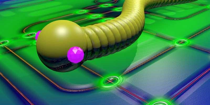 صورة لـ ما هي ديدان الكمبيوتر ولماذا لا تزال خطرة | computer-worms-featured-image-min-DzTechs
