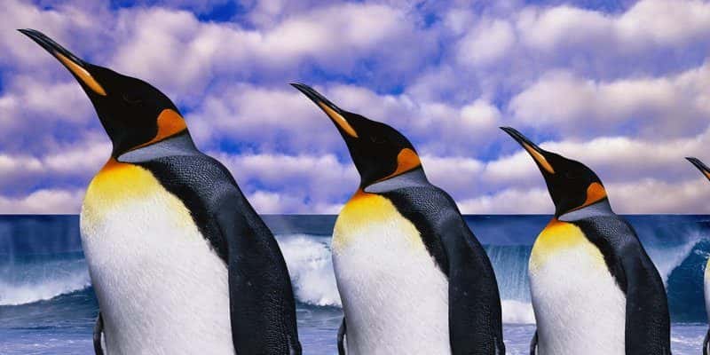 صورة لـ 11 سببًا لكي يجب عليك أن تعلم استخدام Linux | learn-linux-featured-800x400-min-DzTechs