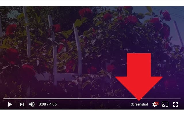 صورة لـ أفضل إضافات Chrome لـ YouTube للمُنشئين والمستخدمين المحترفين | unnamed-5-min-DzTechs