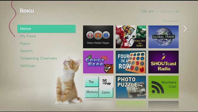 صورة لـ أفضل السمات والمظاهر لتخصيص شاشة Roku الرئيسية مثل المحترفين | kittens-DzTechs