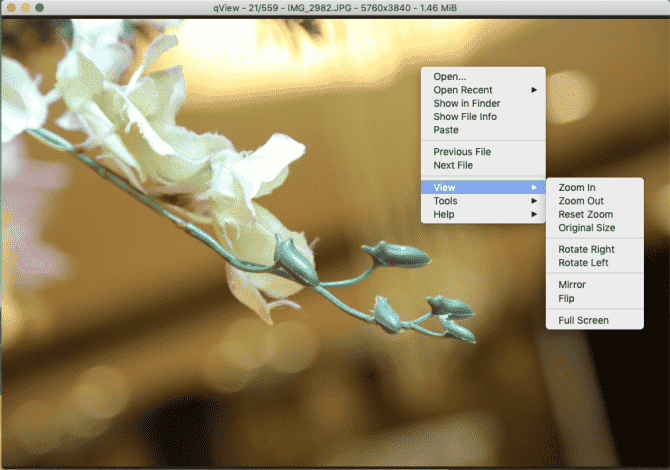 صورة لـ أفضل تطبيقات عرض الصور وتنظيمها لنظام التشغيل Mac مع ميزات فريدة | qView-minimal-photo-viewer-min-DzTechs