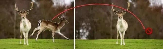 صورة لـ تنزيل Adobe Photoshop Elements لبث الحياة في صورك قديمة | Object-removal-in-Photoshop-Elements-2020-670x203-min-DzTechs