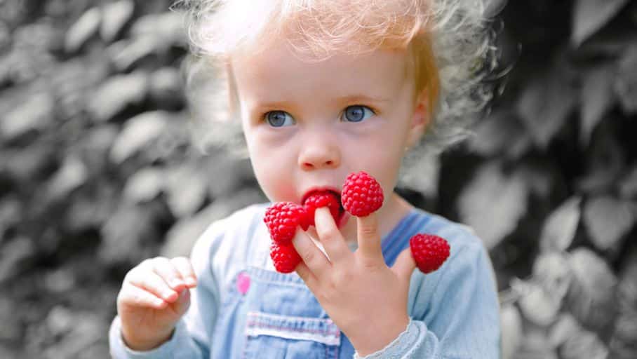 صورة لـ تنزيل Adobe Photoshop Elements لبث الحياة في صورك قديمة | c72d89cc-adobe-photoshop-elements-2020-sort-avec-de-nouveaux-filtres-automatiques_png__908_512__9-32-1760-1019-min-DzTechs