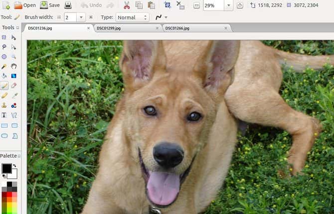 صورة لـ أفضل بدائل Microsoft Paint المجانية لـ Windows | pinta-670x429-min-DzTechs