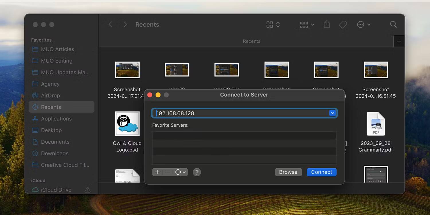 صورة لـ كيفية مشاركة الملفات بسهولة بين Mac و Windows | connect-to-server-ipaddress-macos
