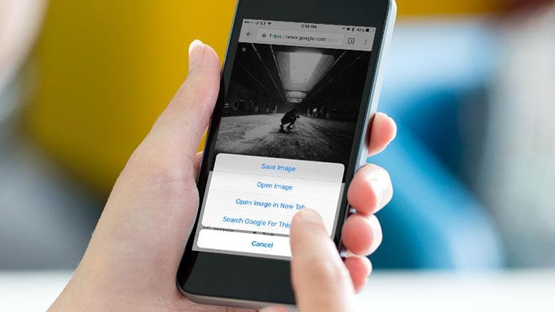 صورة لـ كيفية إجراء البحث العكسي عن الصور على Android | 458812-how-to-do-a-reverse-image-search-from-your-phone-min-DzTechs