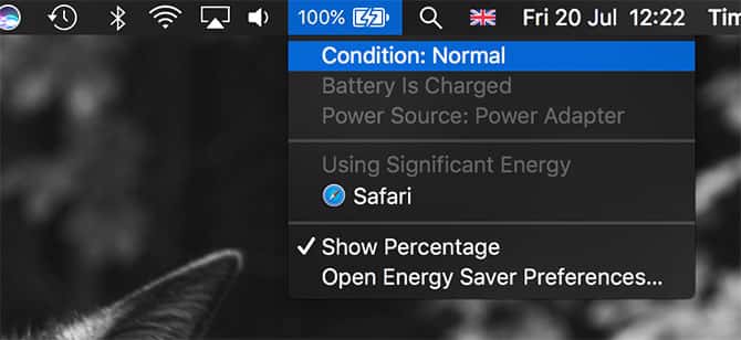 صورة لـ استبدال بطارية MacBook: خيارات لعمل ذلك ، من الأكثر أمانًا إلى الأقل | battery_condition_mbp-VWB1uFfs-DzTechs