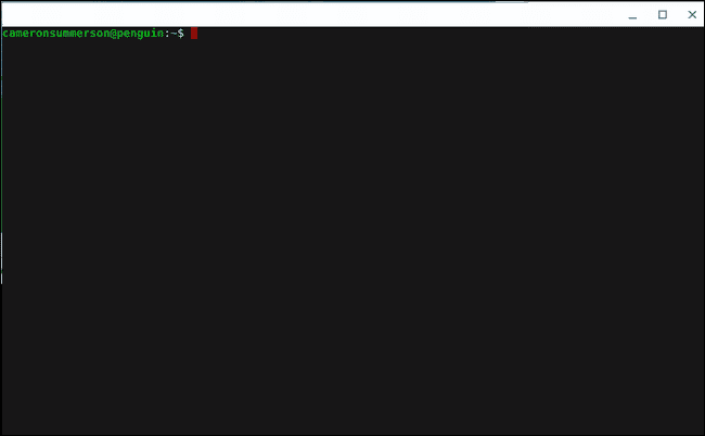 صورة لـ كيفية إعداد تطبيقات Linux واستخدامها على أجهزة Chromebook | x1534779580-picsay.png.pagespeed.gp252Bjp252Bjw252Bpj252Bws252Bjs252Brj252Brp252Brw252Bri252Bcp252Bmd.ic_._kjzARNZPS-DzTechs