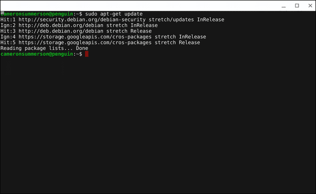 صورة لـ كيفية إعداد تطبيقات Linux واستخدامها على أجهزة Chromebook | x1534779695-picsay.png.pagespeed.gp252Bjp252Bjw252Bpj252Bws252Bjs252Brj252Brp252Brw252Bri252Bcp252Bmd.ic_.YFecr7i02p-DzTechs