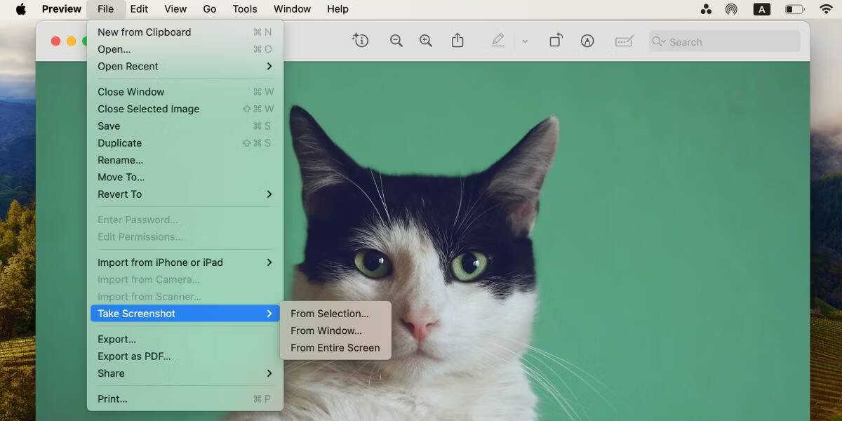 صورة لـ كيفية أخذ لقطات للشاشة على الـ Mac الخاص بك | screenshot-options-in-preview-on-mac