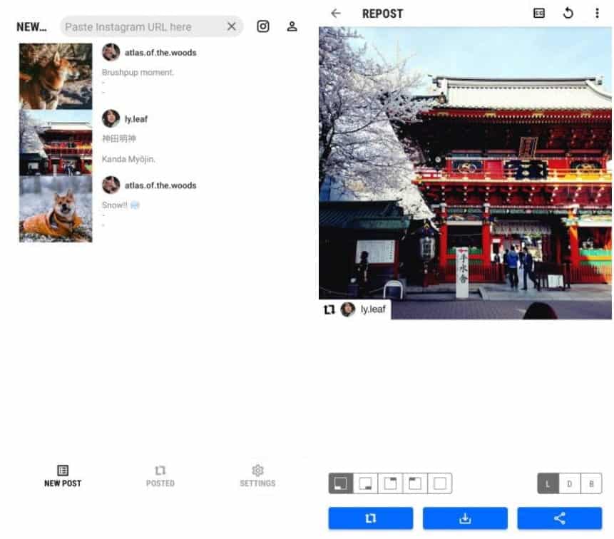 صورة لـ أفضل تطبيقات إعادة النشر على Instagram لأجهزة Android و iPhone | 2._Regram_Posts_25E225802593_Repost_for_Instagram-o5A9JRfs-DzTechs
