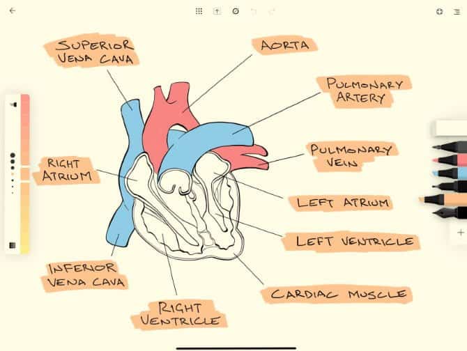 صورة لـ أفضل التطبيقات التي يُمكن إستخدامها مع Apple Pencil | flow-by-moleskine-DzTechs