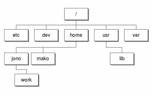 صورة لـ مقارنة بين Linux و Windows: الاختلافات الرئيسية بين أنظمة التشغيل | linux_file_system-2OmkcTfs-DzTechs