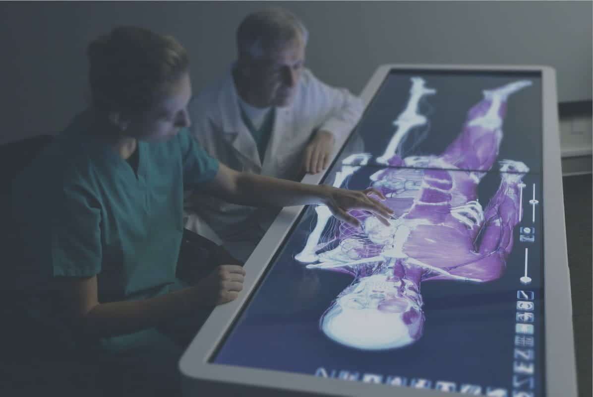 صورة لـ أفضل الجولات الافتراضية داخل جسم الإنسان للتشريح التفاعلي | DSC_2979_Anatomage_Table_jpg_blurred-BPsgiUfs-DzTechs