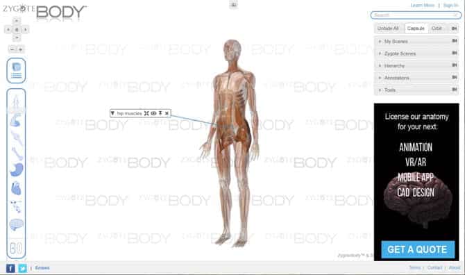 صورة لـ أفضل الجولات الافتراضية داخل جسم الإنسان للتشريح التفاعلي | ZygoteBody-XqTfiUfs-DzTechs